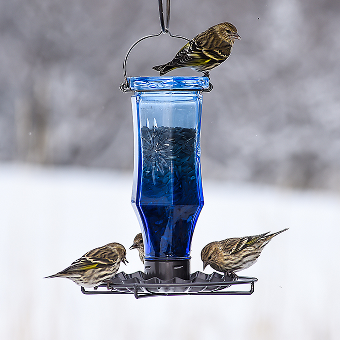 Sapphire Starburst Vintage Wild Bird Feeder