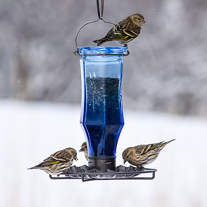 Sapphire Starburst Vintage Wild Bird Feeder