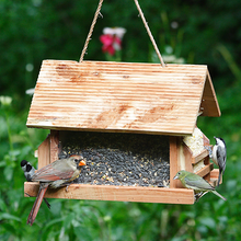 The Lodge Wild Bird Feeder