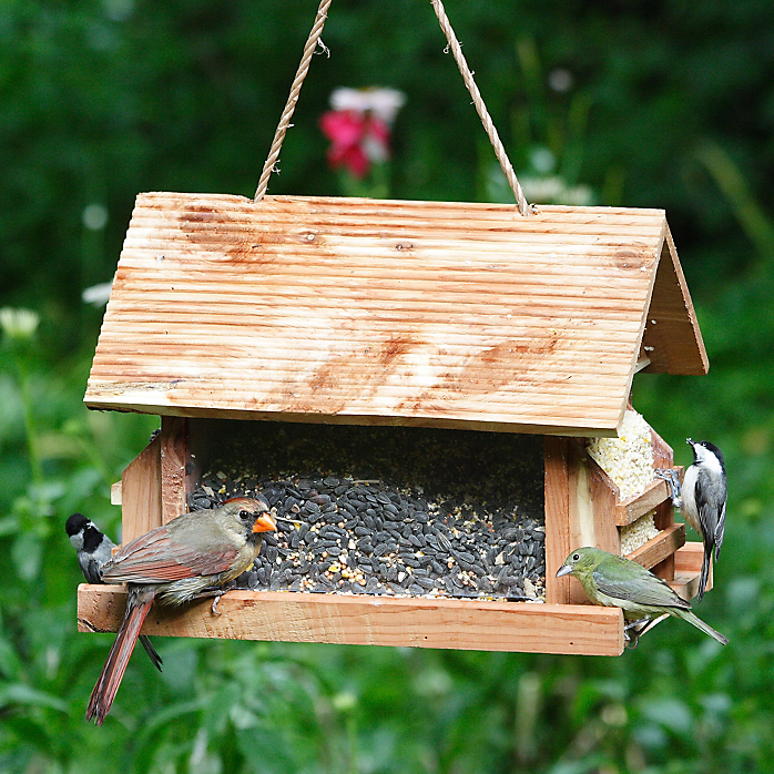 The Lodge Wild Bird Feeder