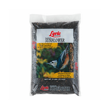 Black Oil Sunflower Seed