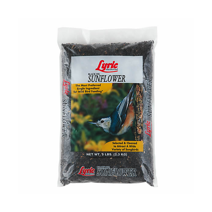 Black Oil Sunflower Seed