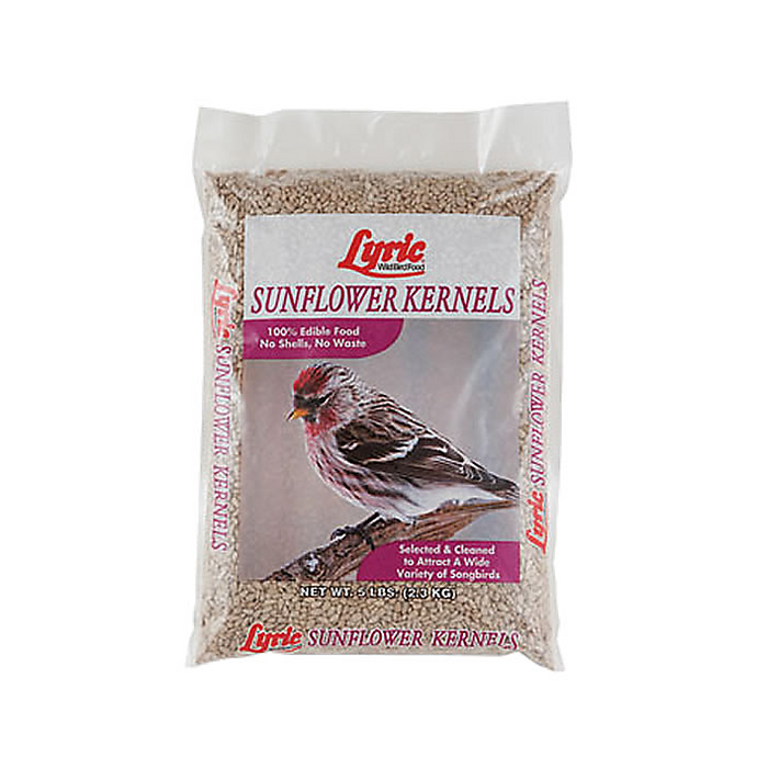 Sunflower Kernels