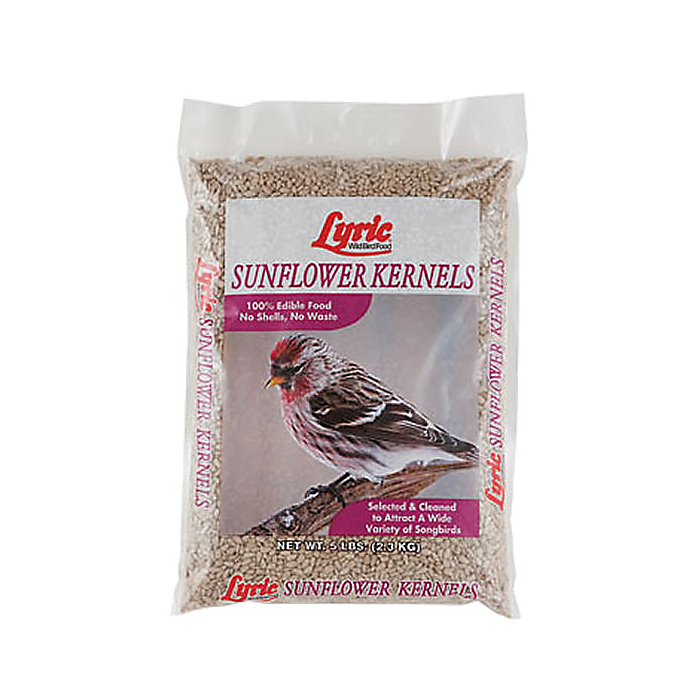 Sunflower Kernels